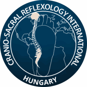 CSRI Magyarország